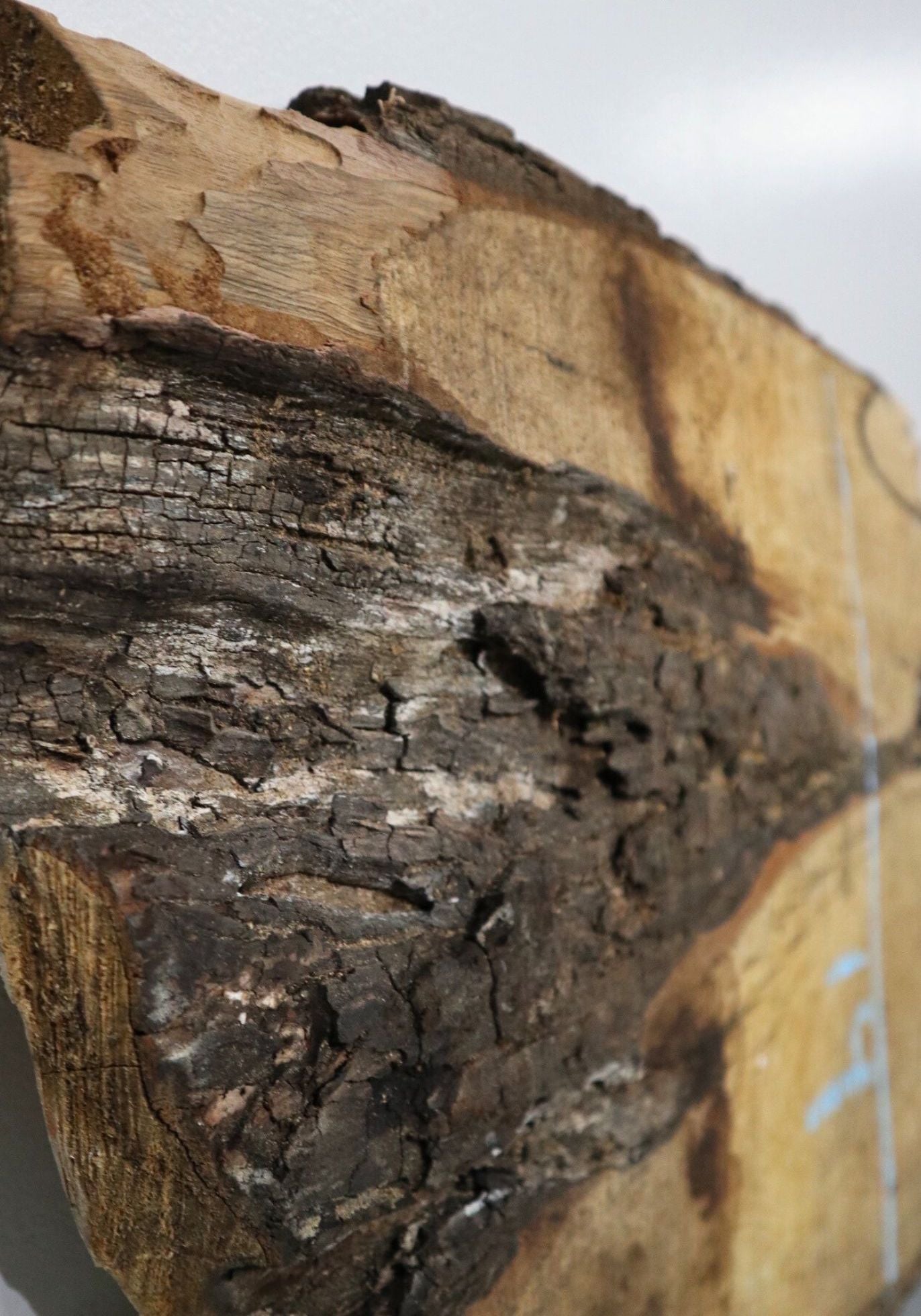 Oak Slab