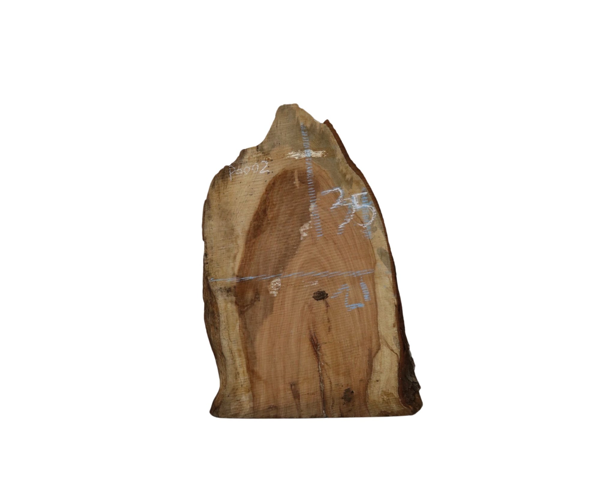 Pecan Slab