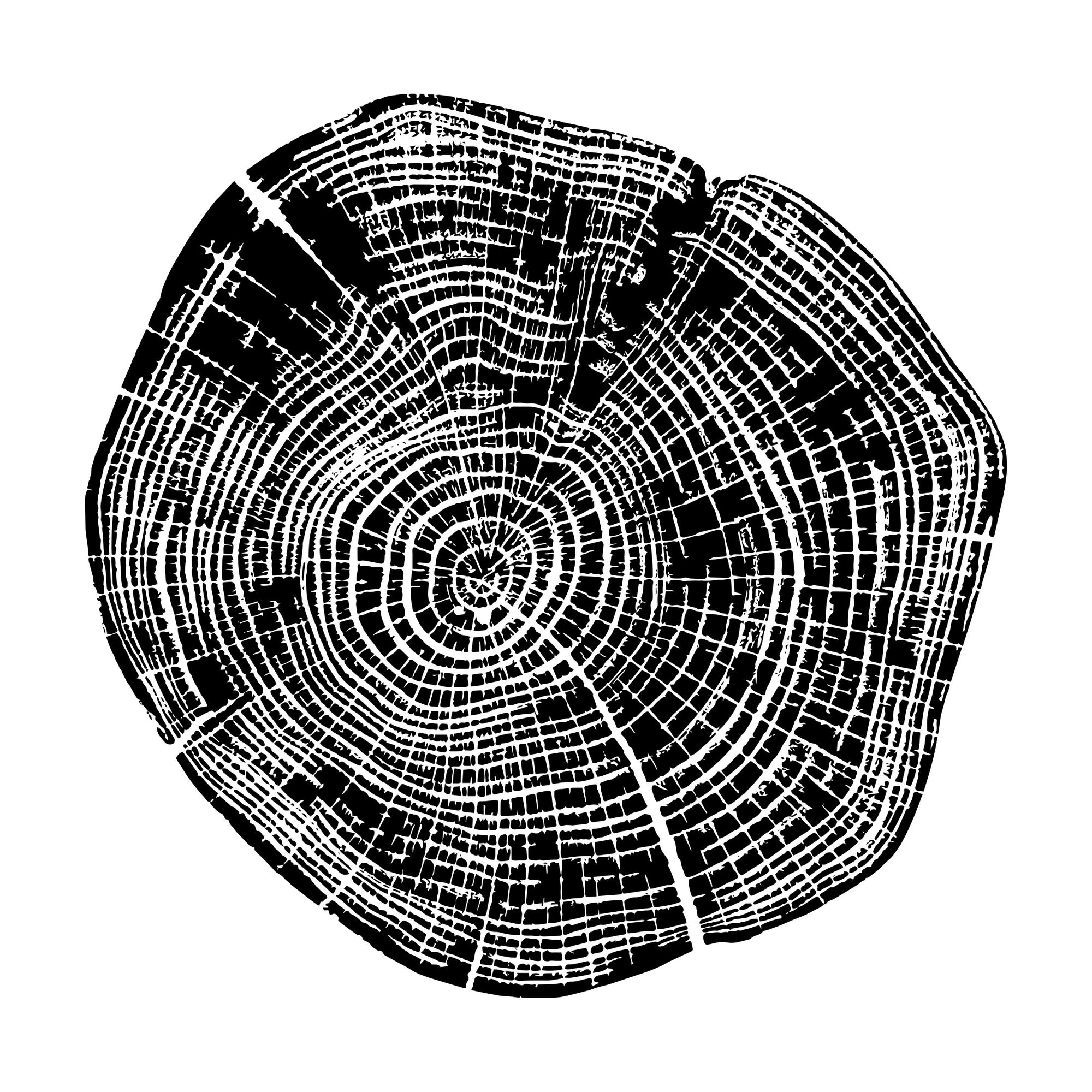 01 Cedar Log Print