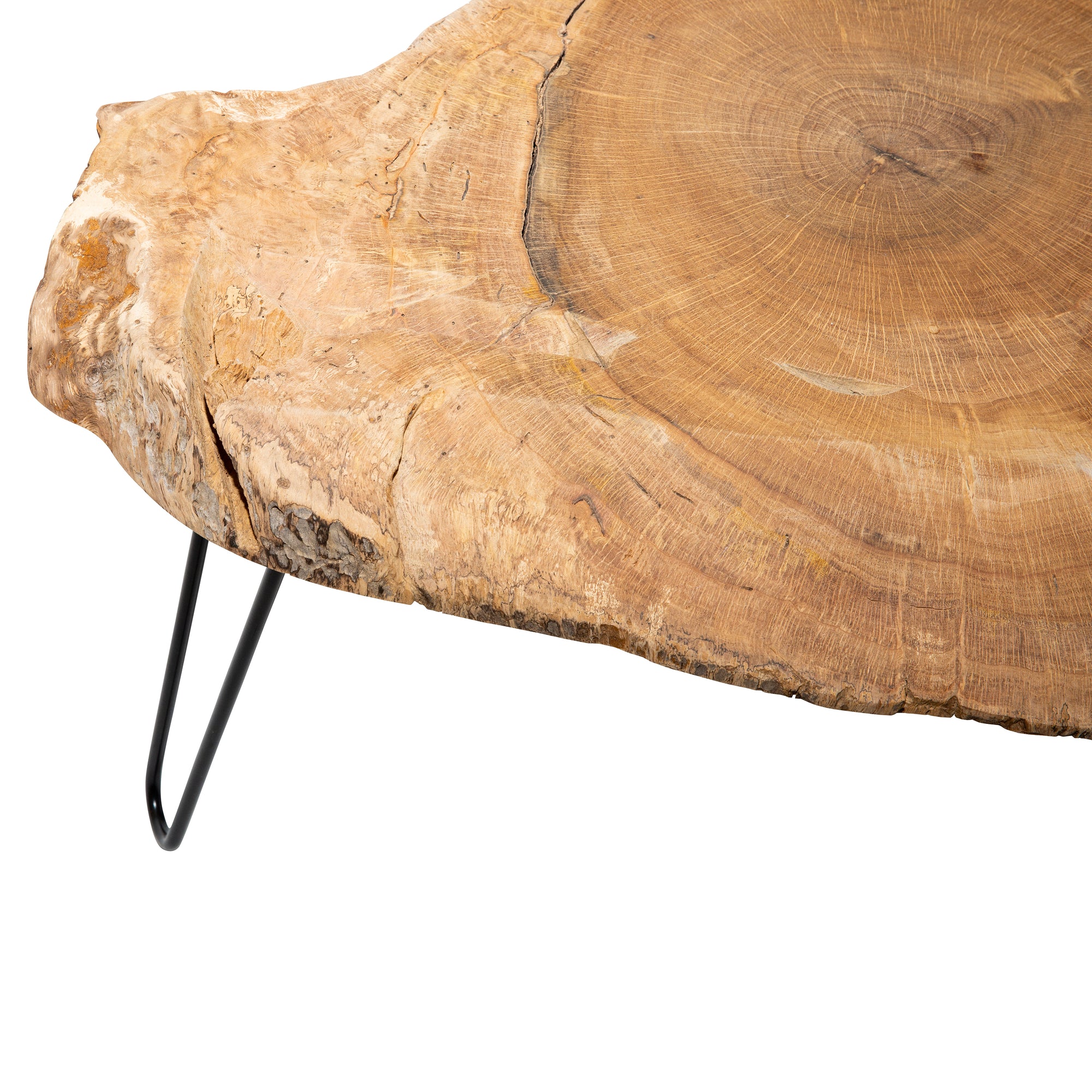 Live Oak Side Table