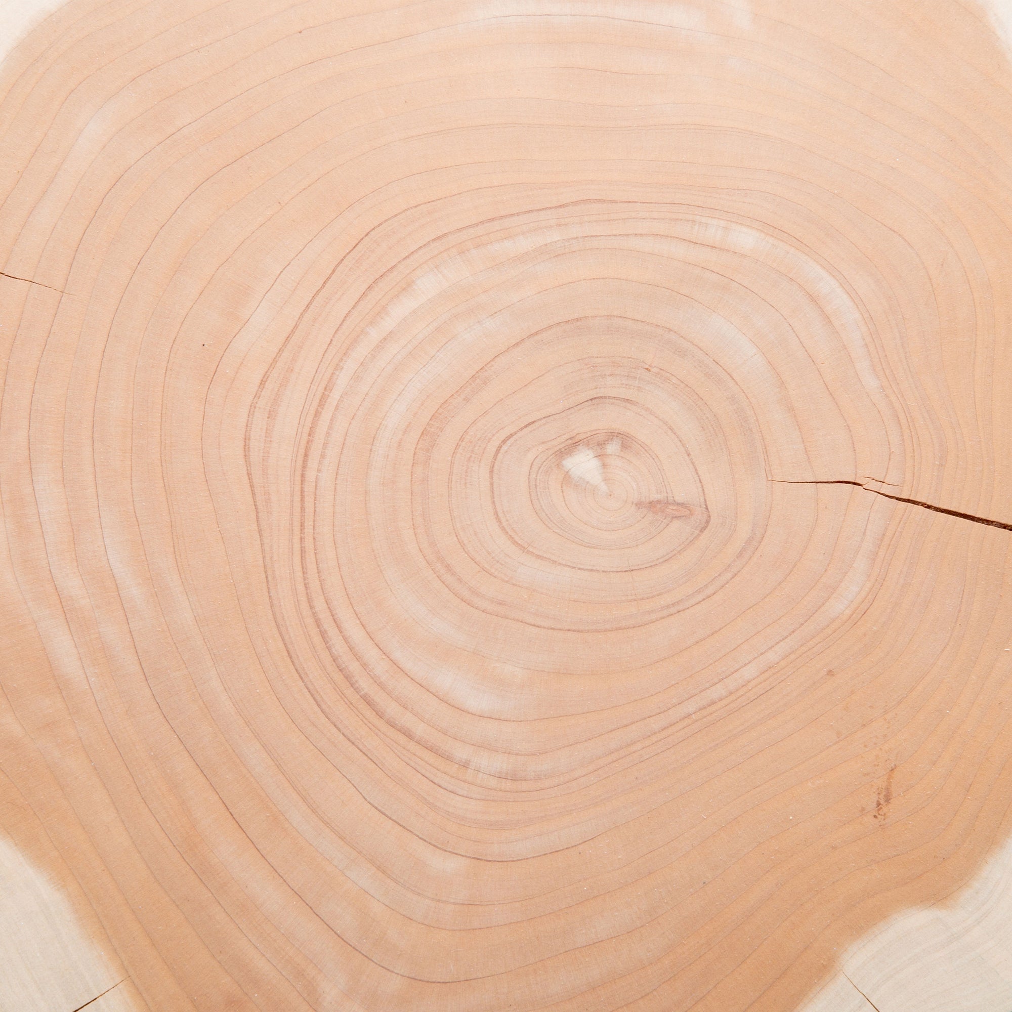 Sanded Cedar Centerpiece