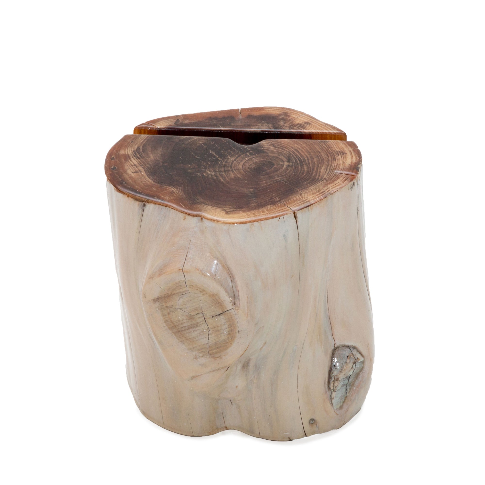 Whitewashed Stump iPad Holder