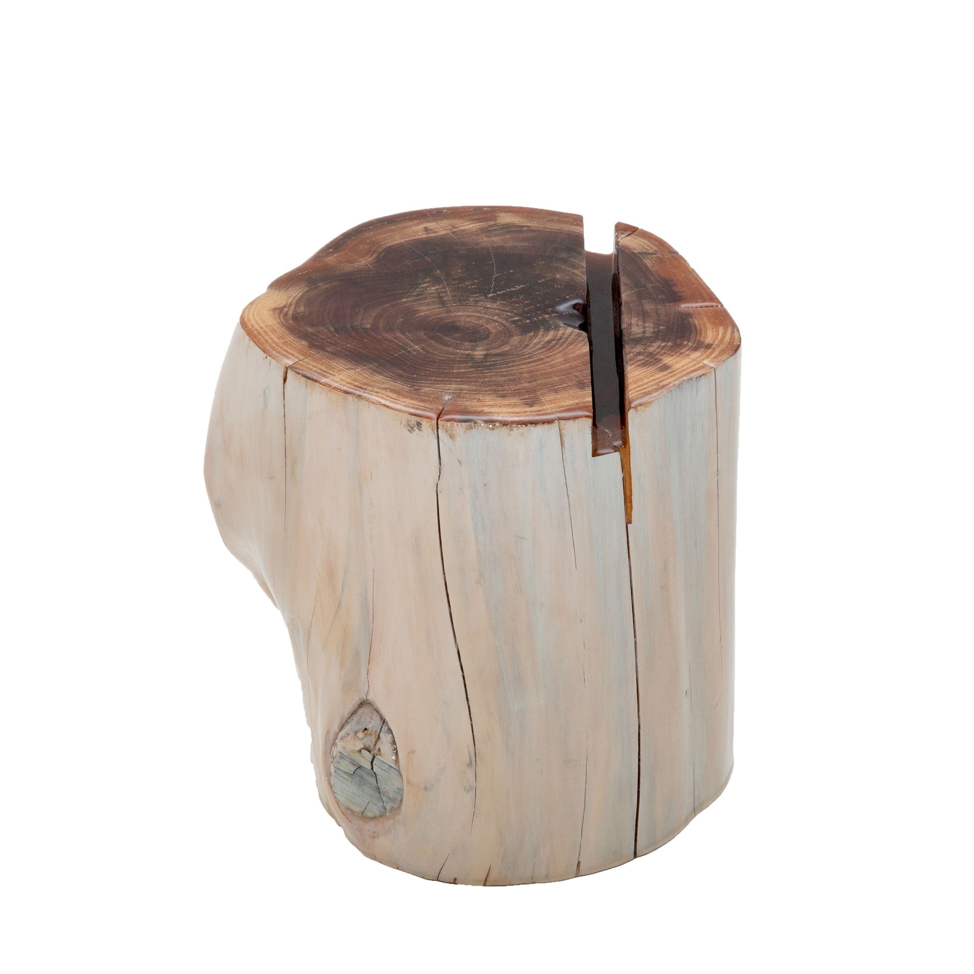 Whitewashed Stump iPad Holder