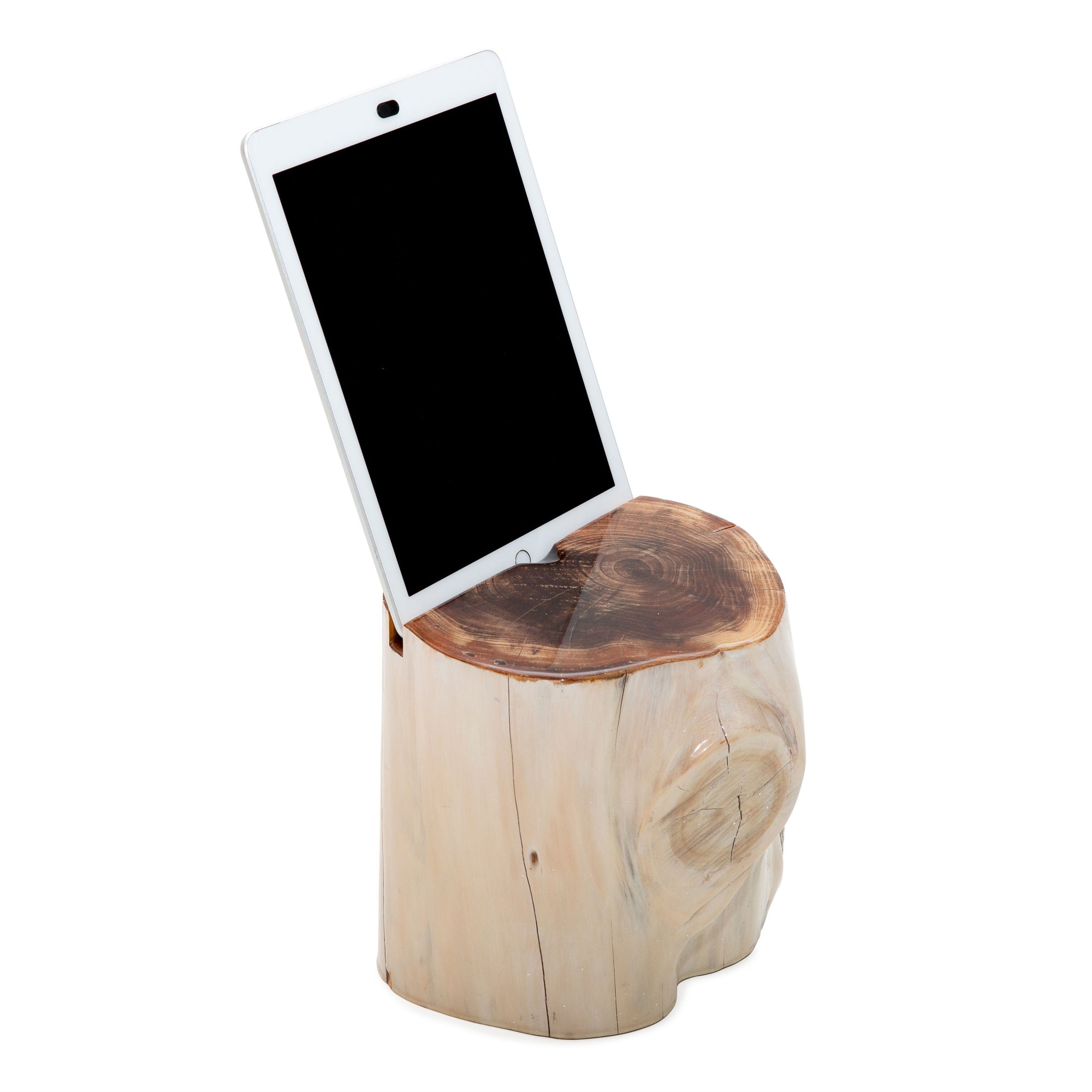 Whitewashed Stump iPad Holder