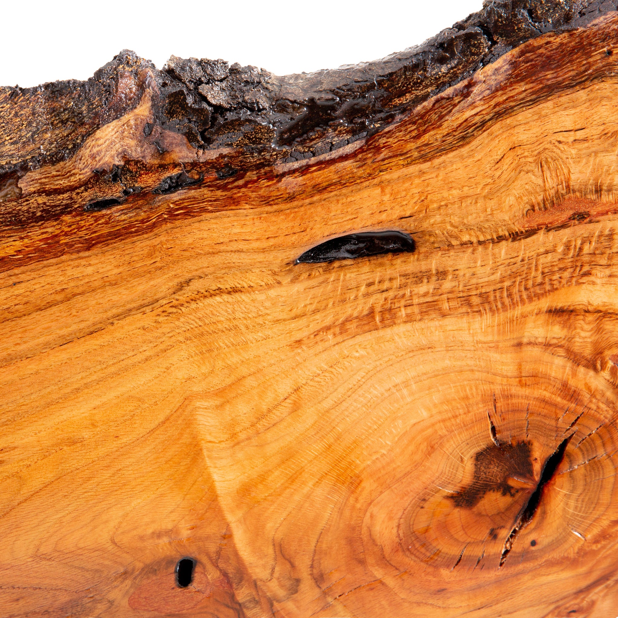 Oak Resin Wall Piece